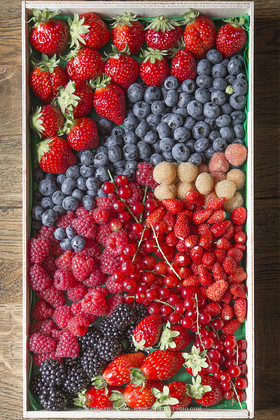 EVE CARDON AU VERGERS DE MANEGUEN